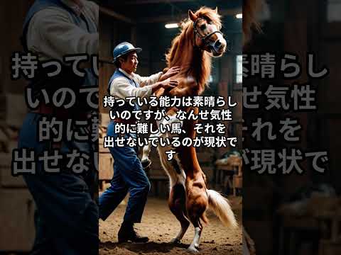 メンバー限定！12月28日の中山8R推奨馬 サムネイル