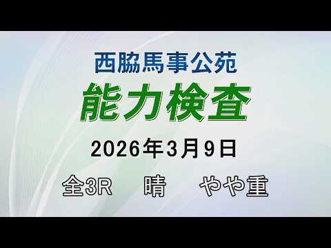 能力検査 2026年3月9日(月) 西脇馬事公苑 サムネイル