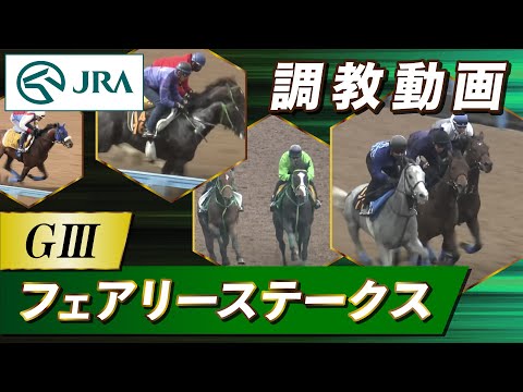 【調教動画】2026年 フェアリーステークス｜JRA公式 サムネイル
