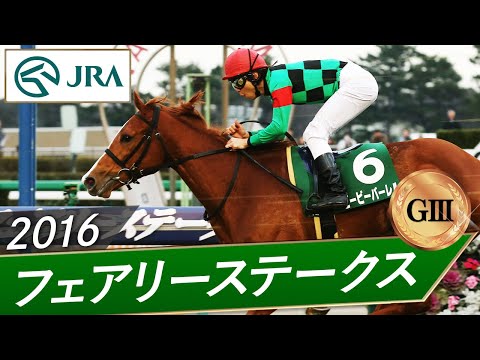 2016年 フェアリーステークス（GⅢ） | ビービーバーレル | JRA公式 サムネイル