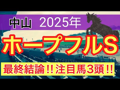 【ホープフルステークス2025】蓮の競馬予想(最終結論) サムネイル