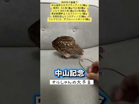 中山記念  競馬 shorts サムネイル