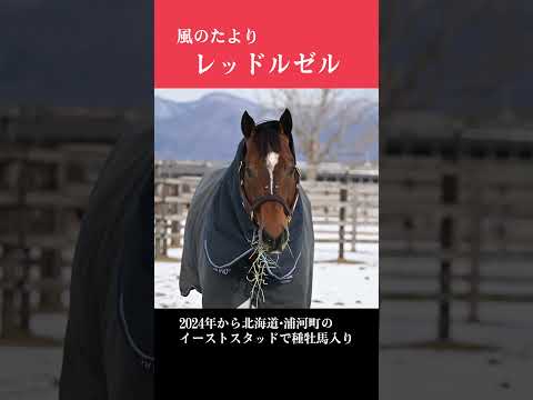 【風のたより】レッドルゼル サムネイル