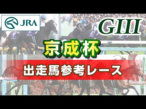 【参考レース】2026年 京成杯｜JRA公式 サムネイル