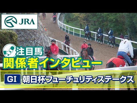 【注目馬 関係者インタビュー】2025年 朝日杯フューチュリティステークス｜JRA公式 サムネイル