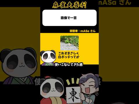 《この画像で一言》白ボッチってか？【麻雀大喜利】shorts 大喜利 雀魂 サムネイル