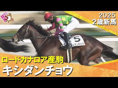 キシダンチョウが外から鋭く伸びてデビュー勝ち！高杉吏麒騎手「よく勝ち切ってくれたと思います」2025年12月28日(日… サムネイル