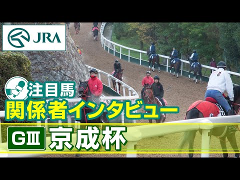 【注目馬 関係者インタビュー】2026年 京成杯｜JRA公式 サムネイル