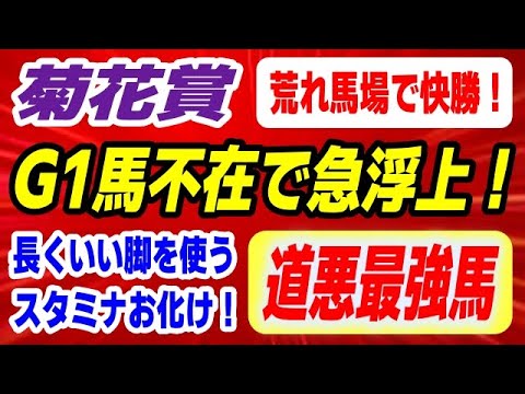 菊花賞2025【前走道悪で快勝】常に長くいい脚を使うスタミナ一級品の最強馬 発見！ サムネイル