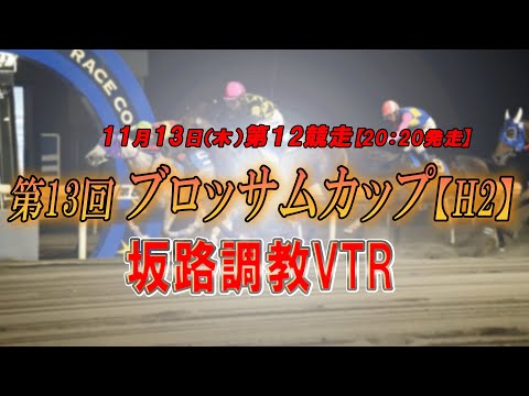 【ホッカイドウ競馬2025坂路調教動画】11/13第12Rブロッサムカップ【H】 サムネイル
