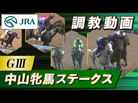 【調教動画】2026年 中山牝馬ステークス｜JRA公式 サムネイル