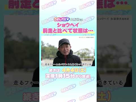 大阪杯 GⅠ トレセン直撃取材！　競馬 大阪杯 ショウヘイ 友道康夫 調教師 サムネイル