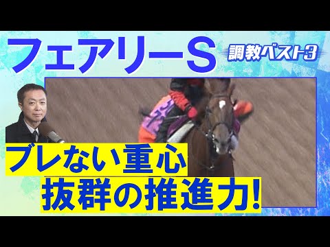 「潜在能力が高い！」ギリーズボール、サンアントワーヌ、ピエドゥラパン・・・競馬エイト・高橋賢司トラックマンの調教解説＜… サムネイル