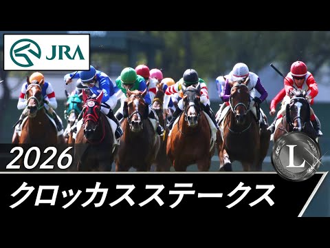 2026年 クロッカスステークス（L） | JRA公式 サムネイル