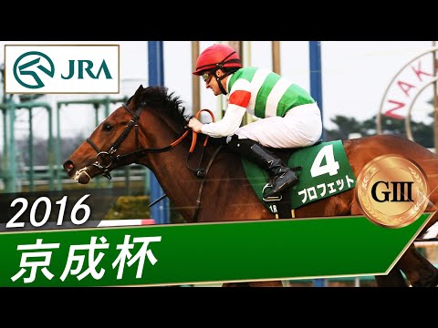 2016年 京成杯（GⅢ） | プロフェット | JRA公式 サムネイル