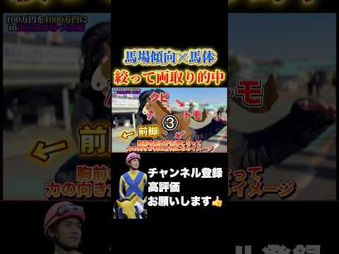 【競馬】馬場読み完璧！馬連3連複W的中！フェアリーステークス シンザン記念 サムネイル