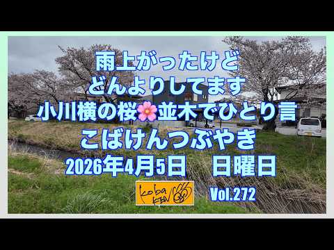 2026年4月5日 日曜日 こばけんつぶやき サムネイル