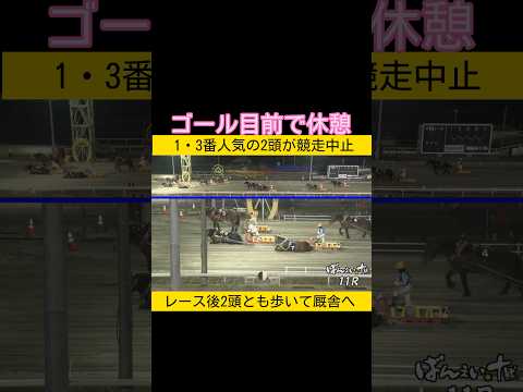 ゴール目前で休憩 ばんえい　両馬ともにレース後は歩いて厩舎へ  ばんえい競馬 サムネイル