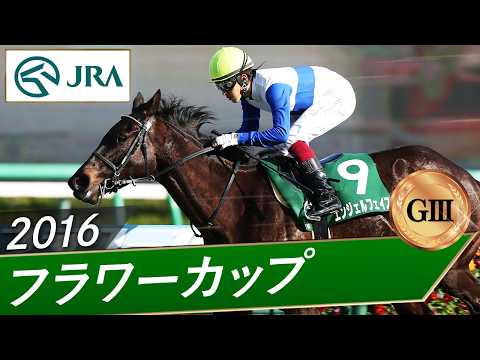 2016年 フラワーカップ（GⅢ） | エンジェルフェイス | JRA公式 サムネイル