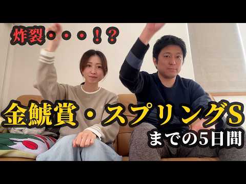 金鯱賞、スプリングステークスで炸裂・・・！？ サムネイル