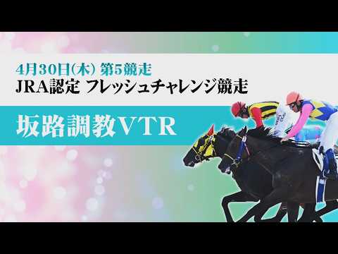 【坂路調教動画】4/30 第5Rフレッシュチャレンジ競走【門別競馬】 サムネイル