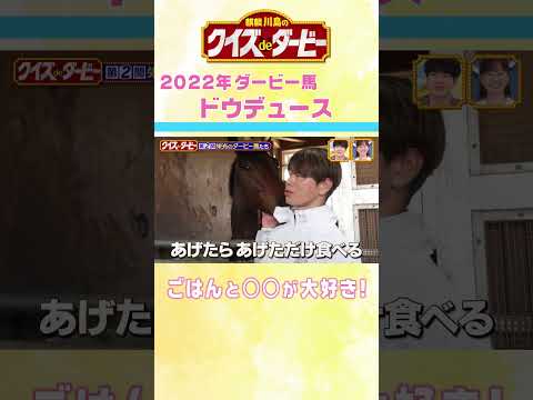 麒麟川島のクイズdeダービー 競馬 日本ダービー＃ドウデュース サムネイル