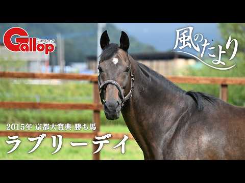 【風のたより】ラブリーデイ