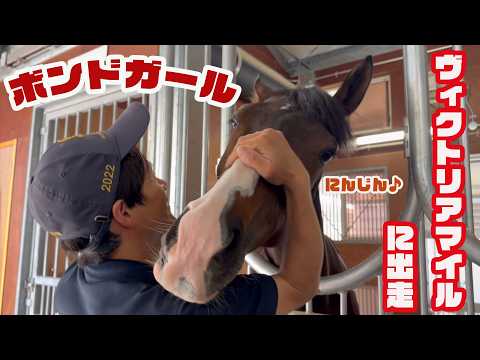 【ヴィクトリアマイル出走】ボンドガールのニンジンタイムにお邪魔しました サムネイル