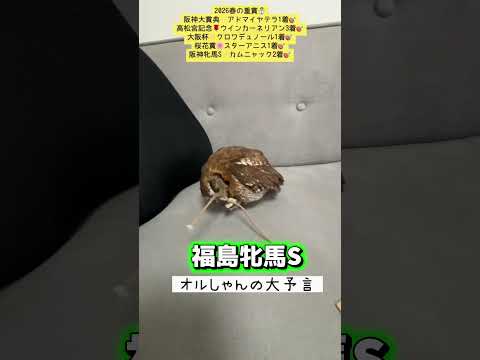 福島牝馬ステークス 競馬 shorts サムネイル