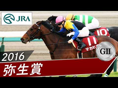 2016年 弥生賞（GⅡ） | マカヒキ | JRA公式 サムネイル