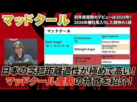 【特別企画】 3年後の活躍を大予言！ 2026年に種牡馬入りしたオススメ期待馬/マッドクール編 サムネイル