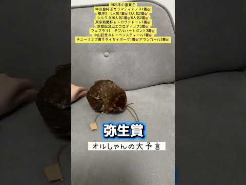 競馬 弥生賞 弥生賞ディープインパクト記念 shorts サムネイル