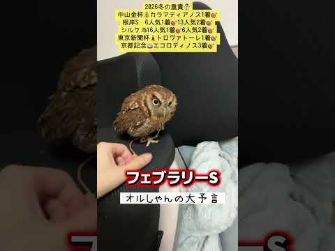 競馬 フェブラリーステークス shorts サムネイル