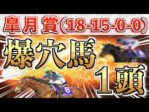 【皐月賞2026 予想】先週も3頭パーフェクト㊗️想定8番人気の大穴＋鉄板馬を狙い撃つ！【競馬予想】