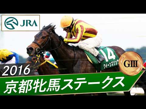 2016年 京都牝馬ステークス（GⅢ） | クイーンズリング | JRA公式 サムネイル