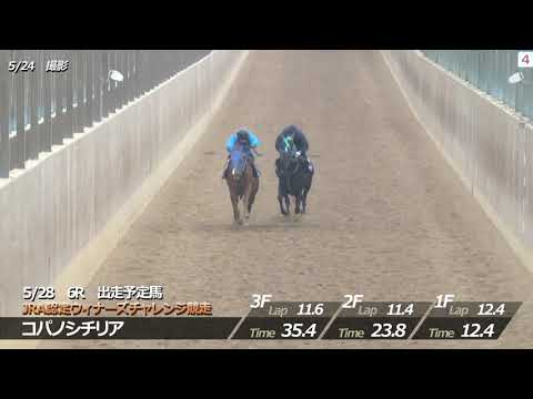 【坂路調教動画】5/28 第6Rウィナーズチャレンジ①【門別競馬】 サムネイル