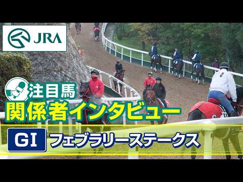 【注目馬 関係者インタビュー】2026年 フェブラリーステークス｜JRA公式 サムネイル