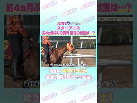 桜花賞 GⅠ トレセン直撃取材！　競馬 桜花賞  スターアニス  松山弘平  騎手 サムネイル