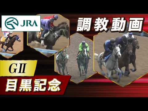 【調教動画】2026年 目黒記念｜JRA公式 サムネイル