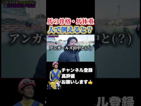 【競馬】馬の骨格・馬体重を人で例えるならシンザン記念 日経新春杯