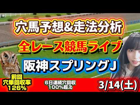 【中央競馬】阪神スプリングジャンプ当てたい 勝ち馬が見つかる競馬 サムネイル