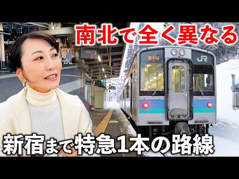 【格差】新潟→東京まで繋ぐ南北で全く異なる鉄道路線がスゴすぎた サムネイル