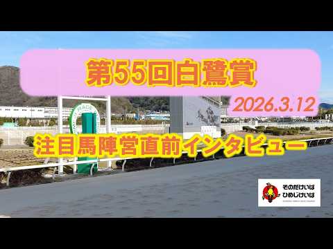第55回白鷺賞 注目馬陣営直前インタビュー！ サムネイル