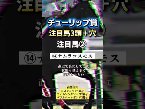 チューリップ賞 競馬 shorts サムネイル