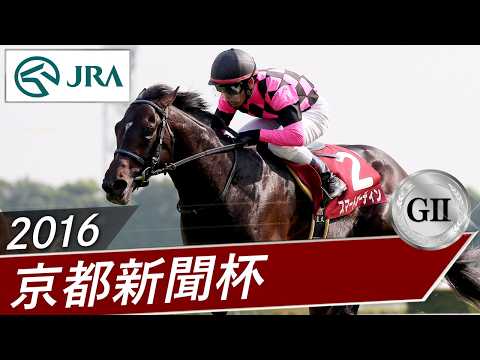 2016年 京都新聞杯（GⅡ） | スマートオーディン | JRA公式 サムネイル