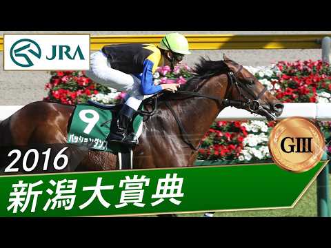 2016年 新潟大賞典（GⅢ） | パッションダンス | JRA公式 サムネイル