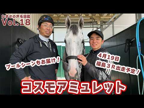 【なぎさの芦毛図鑑】Vol.18コスモアミュレット（美浦・加藤士津八厩舎） サムネイル