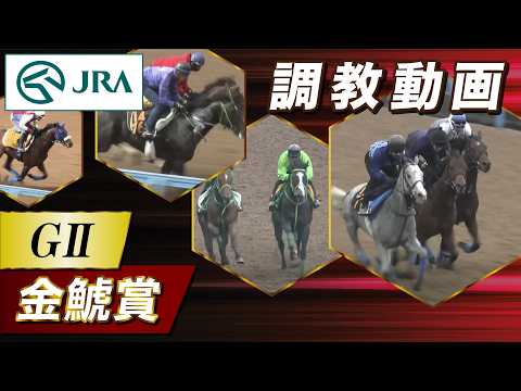【調教動画】2026年 金鯱賞｜JRA公式 サムネイル