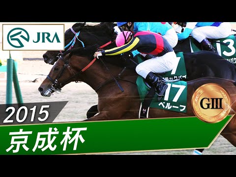 2015年 京成杯（GⅢ） | ベルーフ | JRA公式 サムネイル