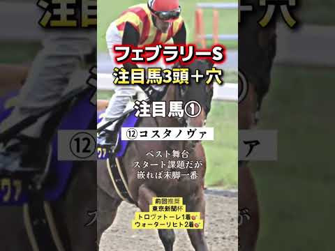 フェブラリーステークス 競馬 shorts サムネイル